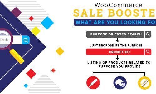 Woocommerce Sale Booster – What are you looking for 1.0.3